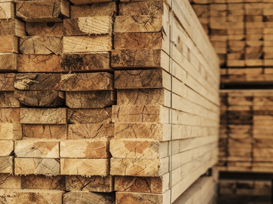 Treated vs Untreated Timber: What is Best for Different Projects?